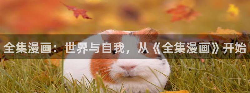 汗汗漫画土豪：全集漫画：世界与自我，从《全集漫画》开始