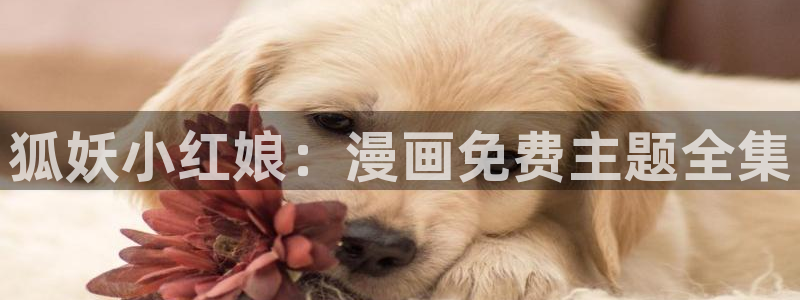 汗汗漫画在线阅读页面漫画入口页面破解版苹果漫画大全：狐妖小红娘：漫画免费主题全集