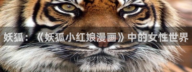 汗汗漫画最新：妖狐：《妖狐小红娘漫画》中的女性世界