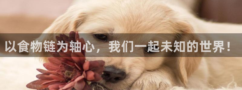 汗汗漫画免费阅读在线阅读