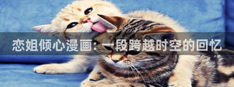 汗汗漫画――歪歪漫画51