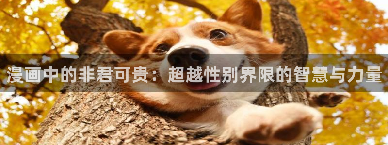 汗汗漫画sss免费入口yy