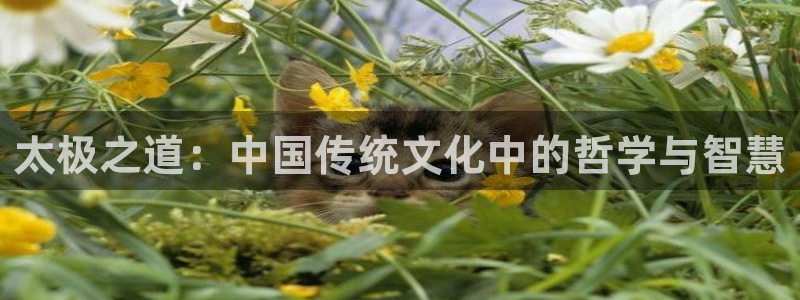 汗汗漫画动漫