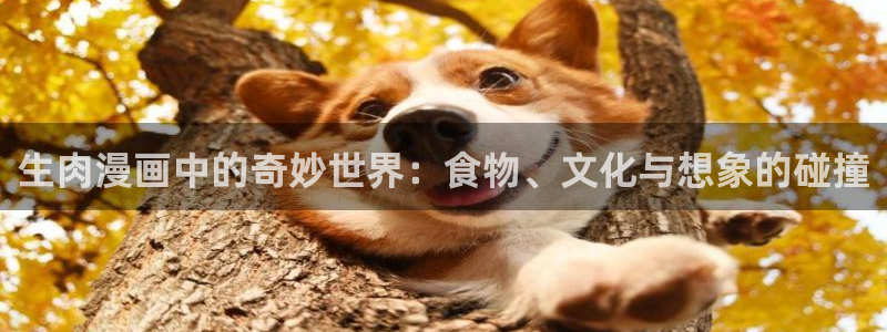 汗汗漫画网首页